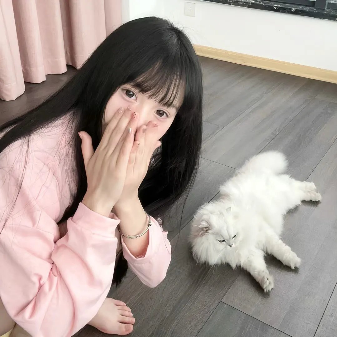 屋顶人